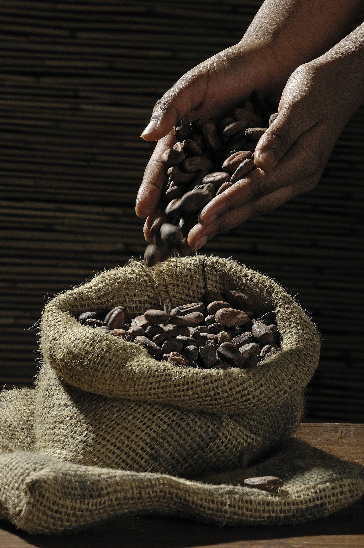 cacao-beans-swissmade-direct