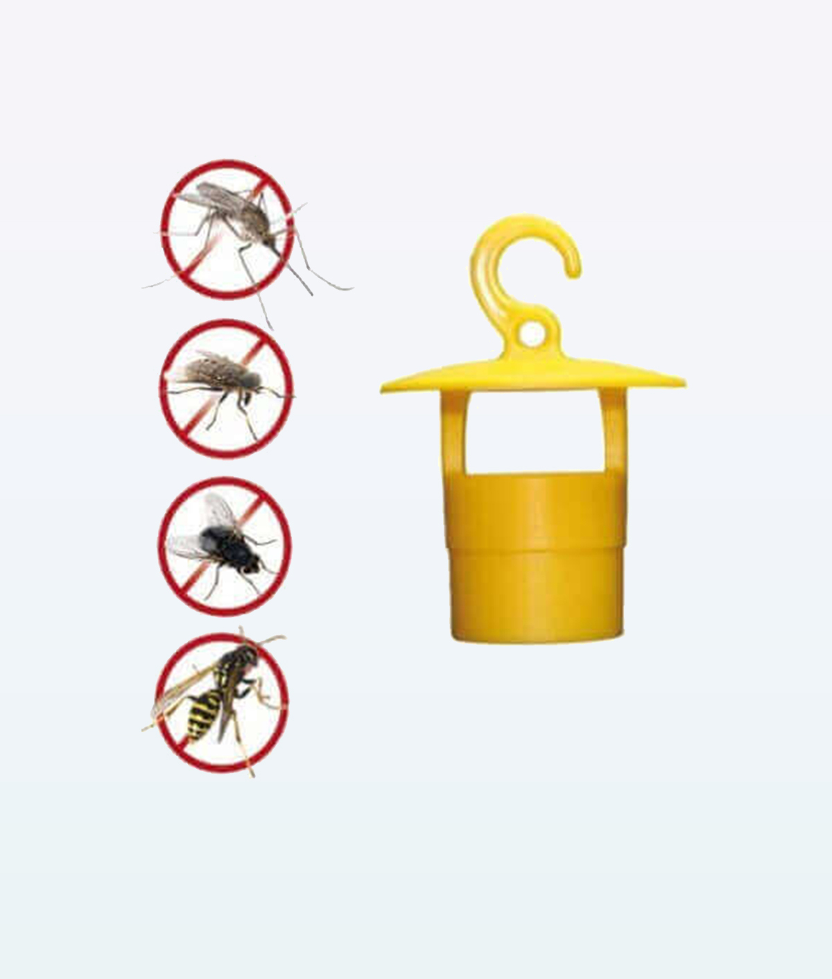 wasp-fruit-fly-trap