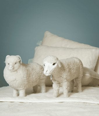merino-wool-vs-cashmere-swissmade-direct