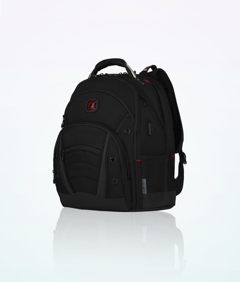 Wenger Synergy Deluxe Backpack