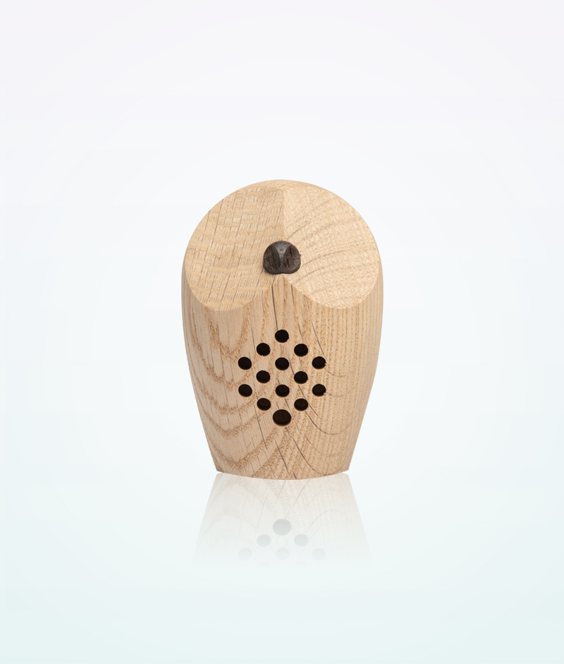 forest-sounds-relax-melodies-motion-sensor